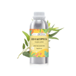 Eucalyptus Oil